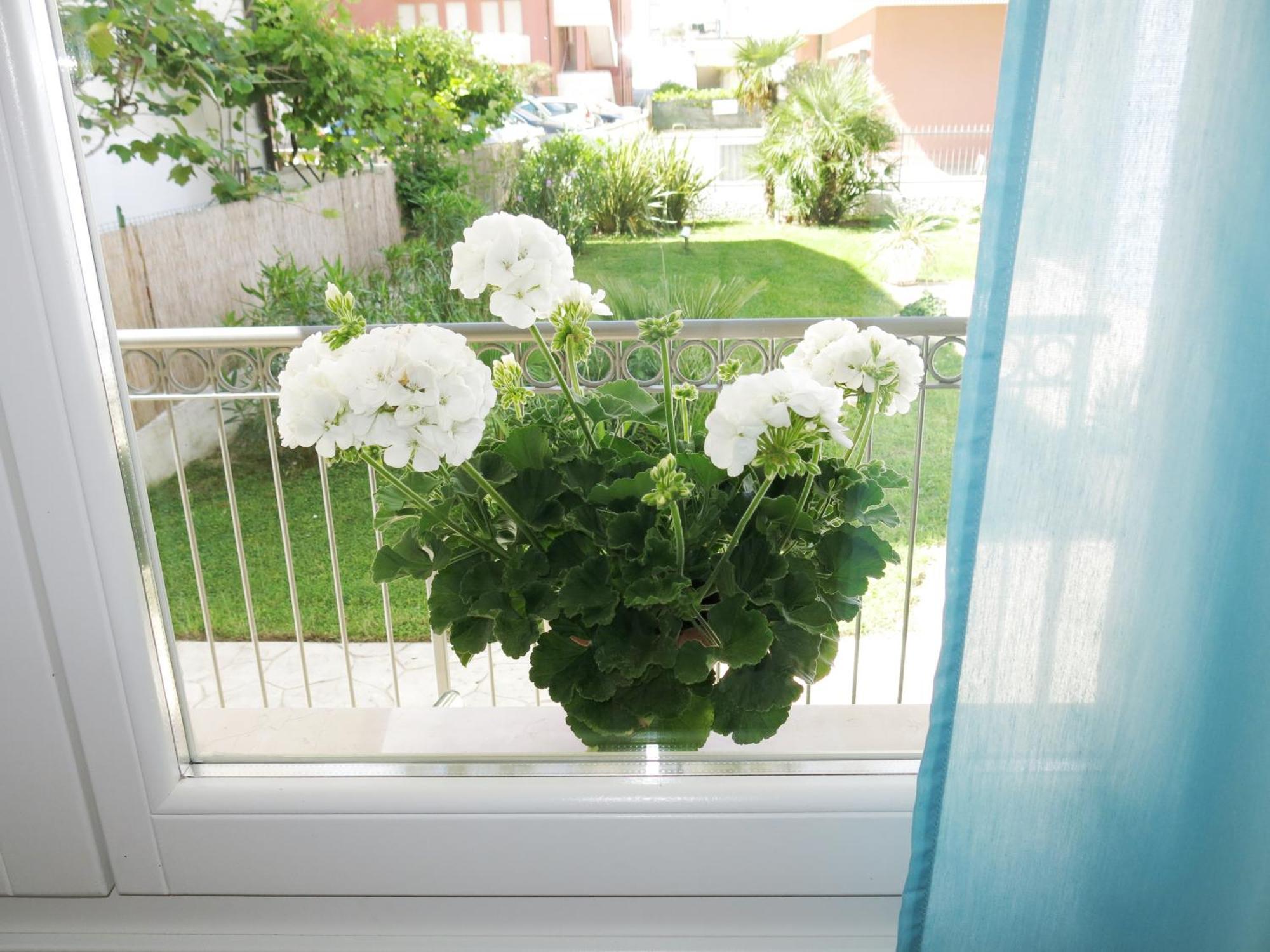 Residence Amarein Каорле Экстерьер фото